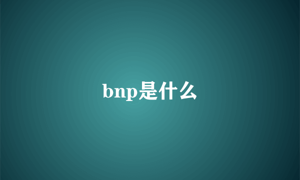 bnp是什么