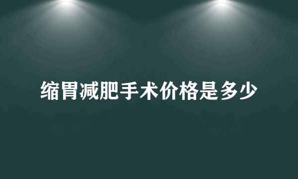 缩胃减肥手术价格是多少