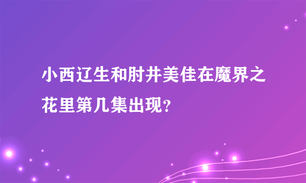 小西辽生和肘井美佳在魔界之花里第几集出现？