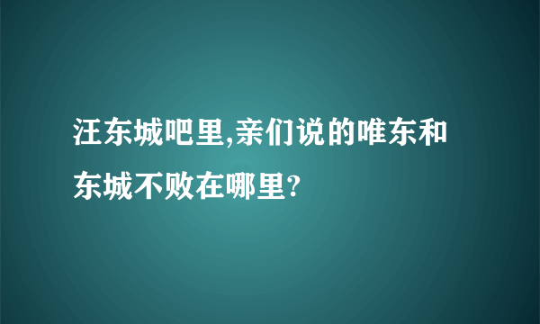 汪东城吧里,亲们说的唯东和东城不败在哪里?