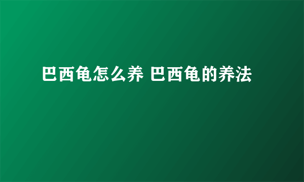 巴西龟怎么养 巴西龟的养法