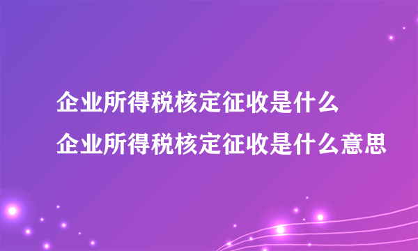企业所得税核定征收是什么 企业所得税核定征收是什么意思