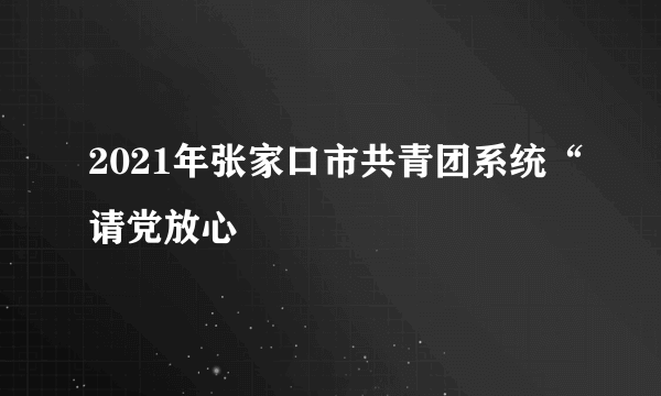 2021年张家口市共青团系统“请党放心