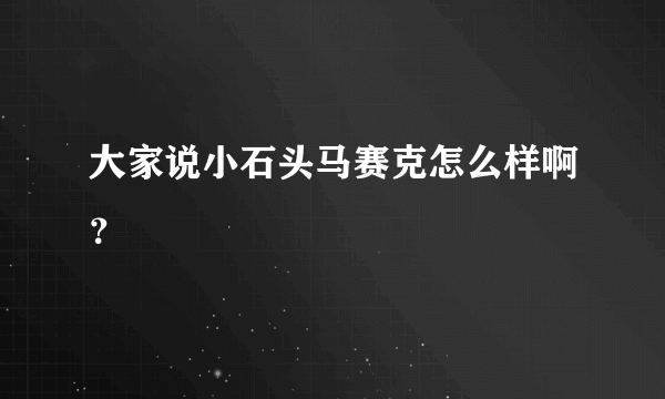 大家说小石头马赛克怎么样啊？