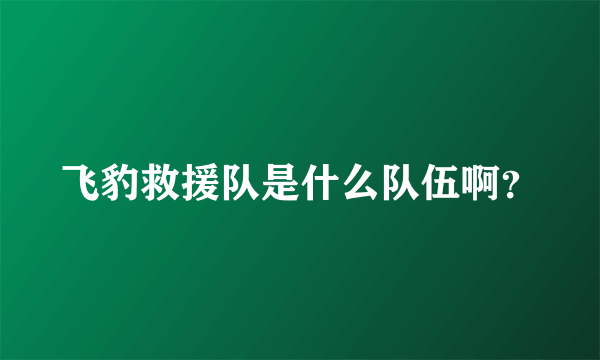 飞豹救援队是什么队伍啊？