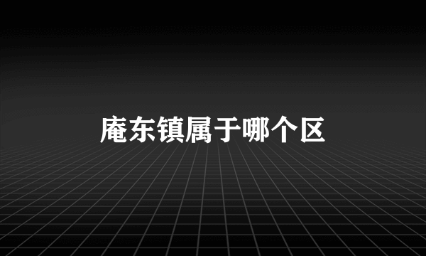 庵东镇属于哪个区