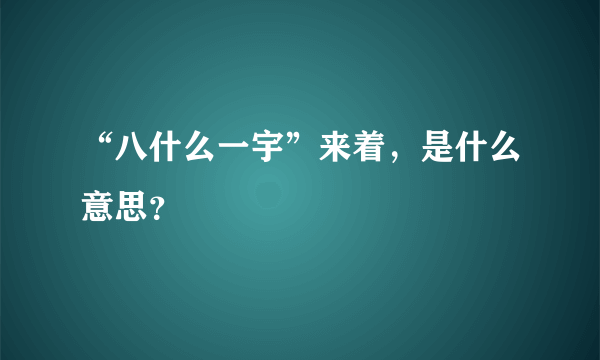 “八什么一宇”来着，是什么意思？