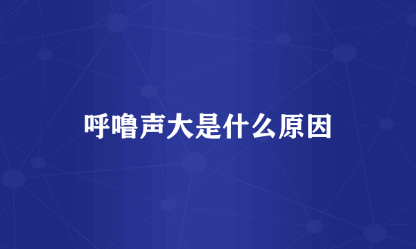 呼噜声大是什么原因