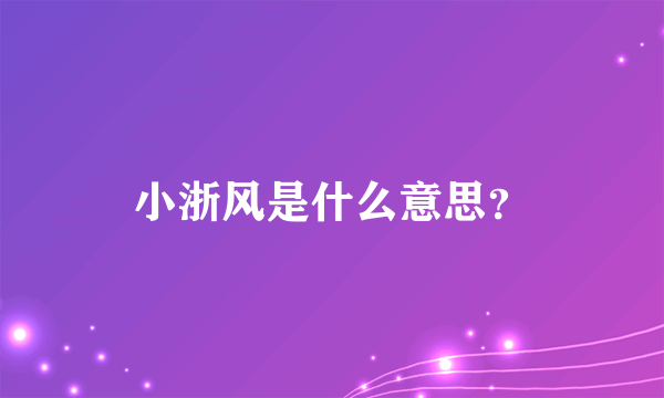 小浙风是什么意思？