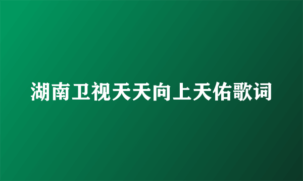 湖南卫视天天向上天佑歌词