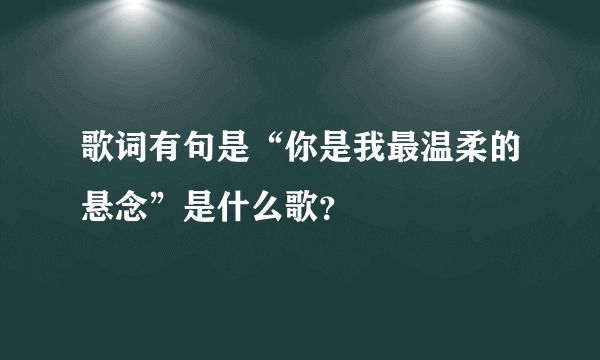 歌词有句是“你是我最温柔的悬念”是什么歌？