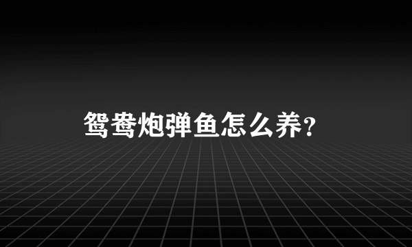 鸳鸯炮弹鱼怎么养？
