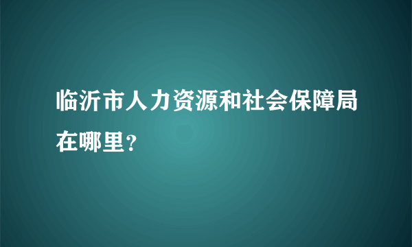 临沂市人力资源和社会保障局在哪里？