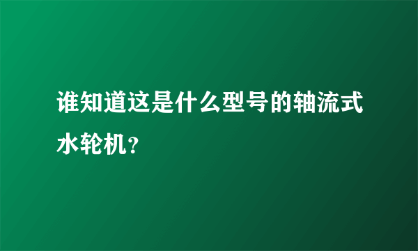 谁知道这是什么型号的轴流式水轮机？