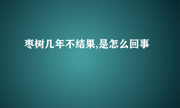 枣树几年不结果,是怎么回事