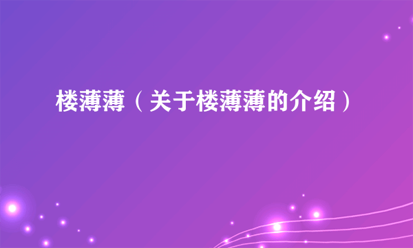 楼薄薄（关于楼薄薄的介绍）
