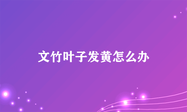 文竹叶子发黄怎么办