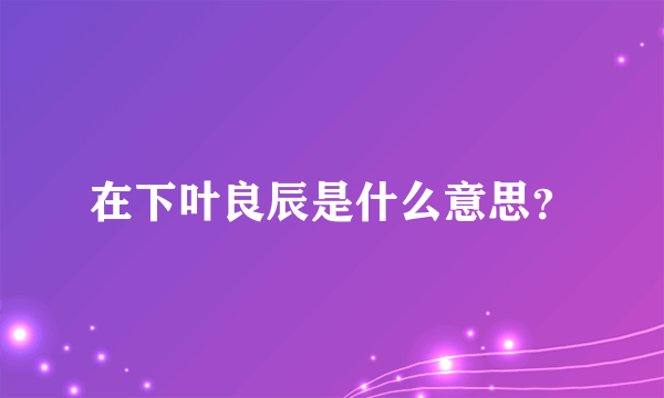 在下叶良辰是什么意思？