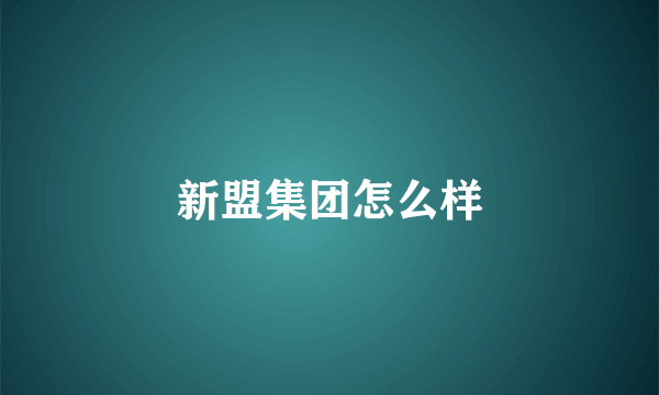 新盟集团怎么样