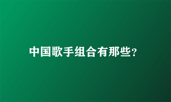 中国歌手组合有那些？