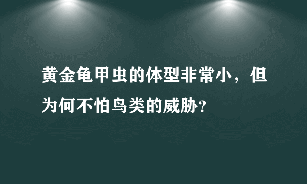 黄金龟甲虫的体型非常小，但为何不怕鸟类的威胁？