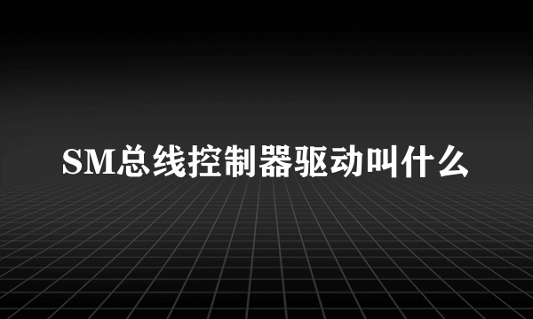 SM总线控制器驱动叫什么