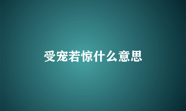 受宠若惊什么意思