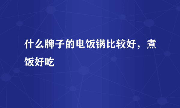 什么牌子的电饭锅比较好，煮饭好吃