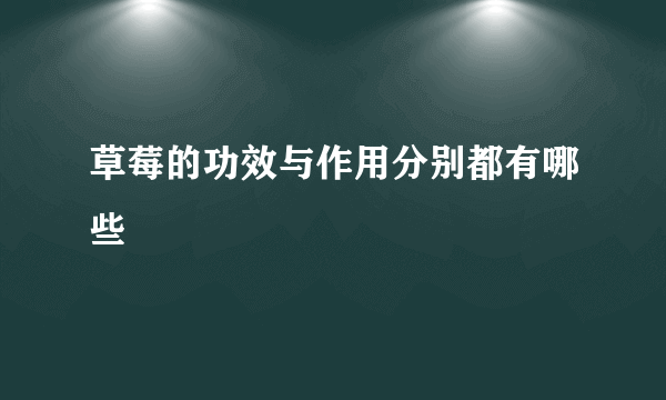 草莓的功效与作用分别都有哪些