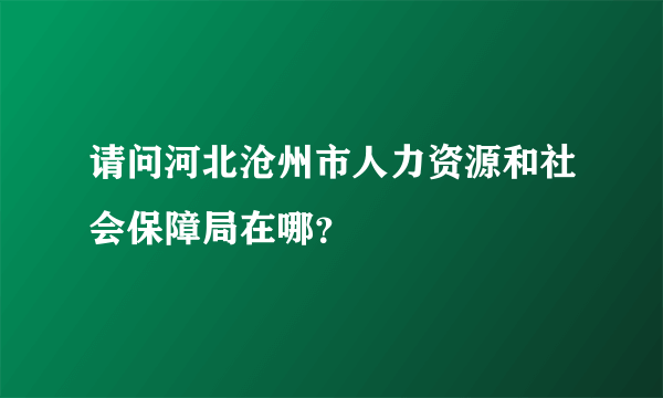 请问河北沧州市人力资源和社会保障局在哪？