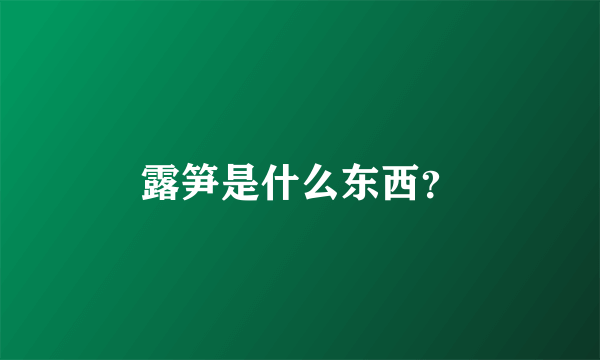 露笋是什么东西？