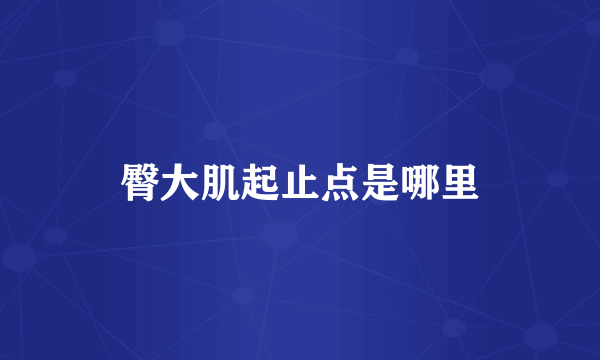 臀大肌起止点是哪里
