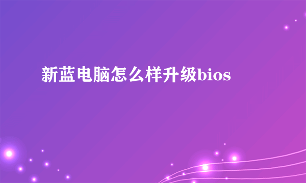新蓝电脑怎么样升级bios