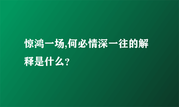 惊鸿一场,何必情深一往的解释是什么？