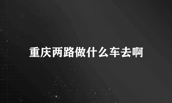 重庆两路做什么车去啊