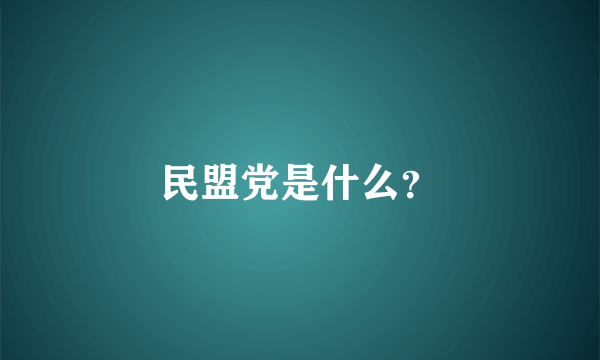 民盟党是什么？