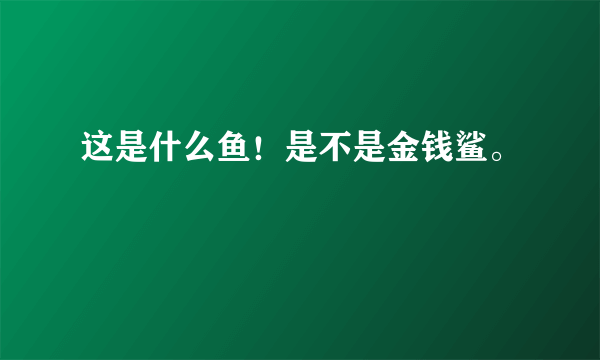 这是什么鱼！是不是金钱鲨。