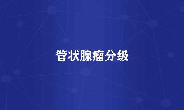 管状腺瘤分级