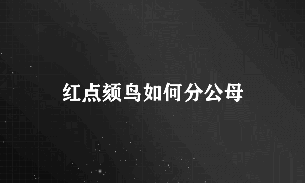 红点颏鸟如何分公母