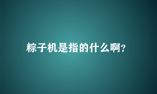 粽子机是指的什么啊？