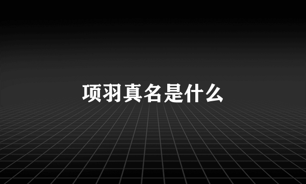 项羽真名是什么