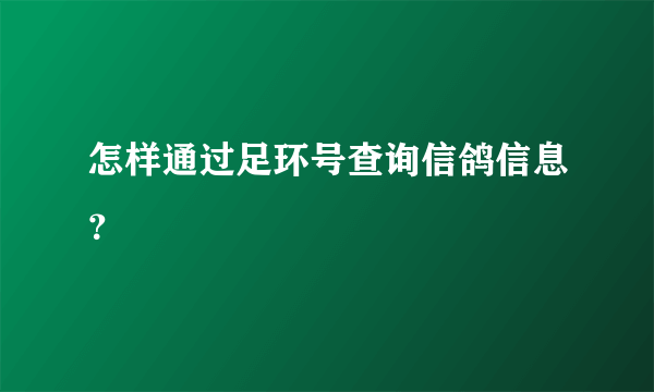 怎样通过足环号查询信鸽信息？