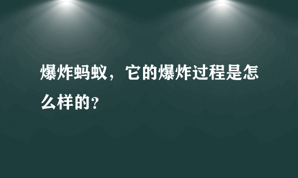 爆炸蚂蚁，它的爆炸过程是怎么样的？