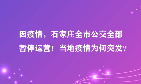 因疫情，石家庄全市公交全部暂停运营！当地疫情为何突发？