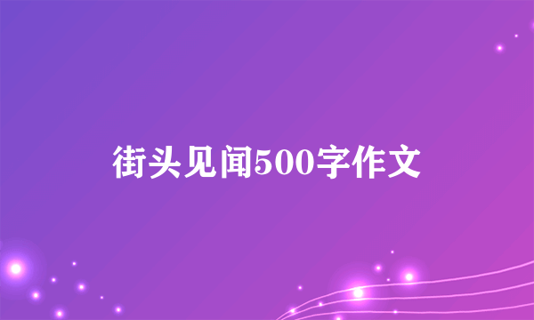 街头见闻500字作文