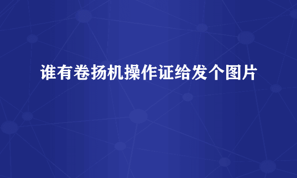 谁有卷扬机操作证给发个图片