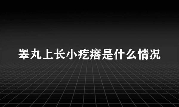 睾丸上长小疙瘩是什么情况
