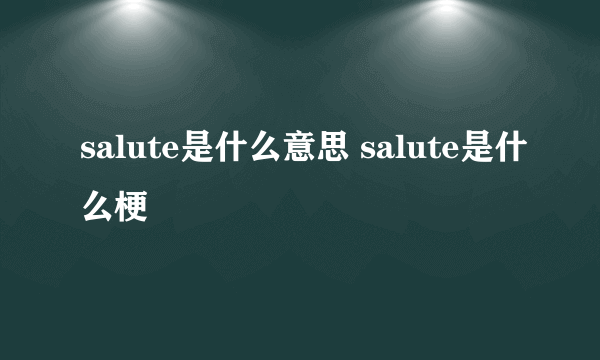 salute是什么意思 salute是什么梗