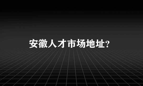 安徽人才市场地址？