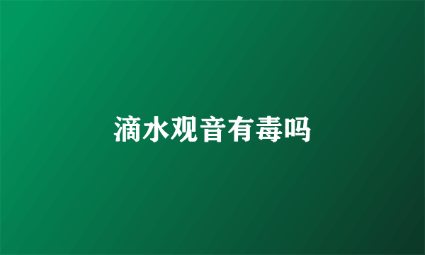 滴水观音有毒吗